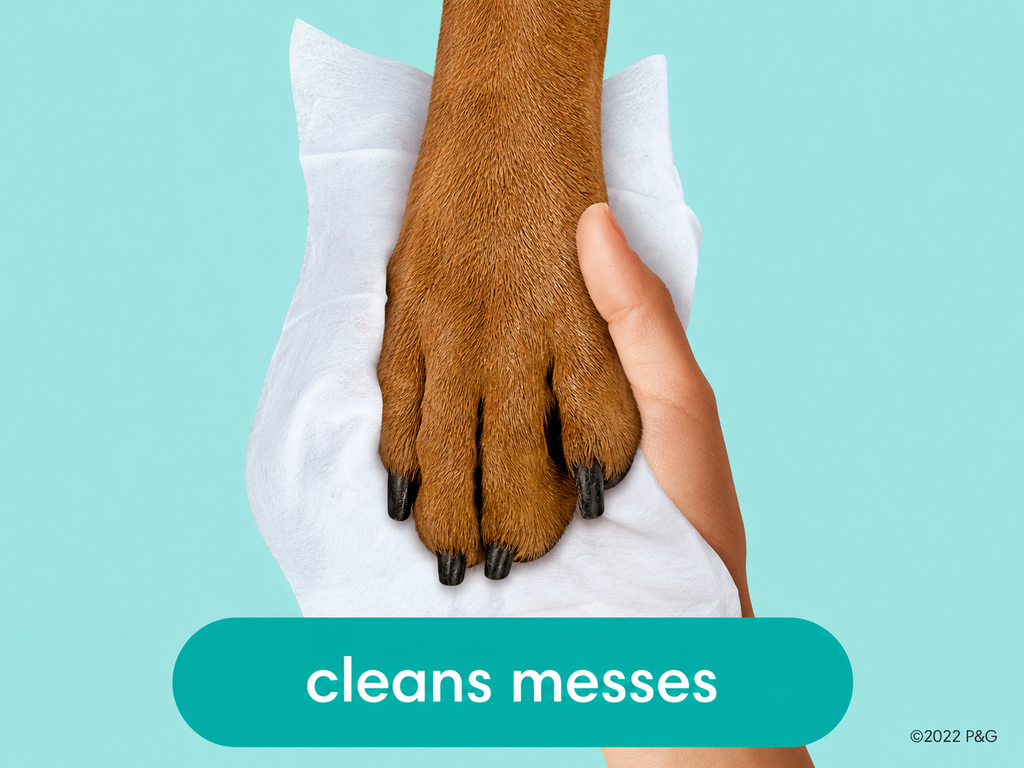 Pampers Baby Clean Fresh Scent Baby Wipes, 5 Packs of 80Wipes, 400 Wipes